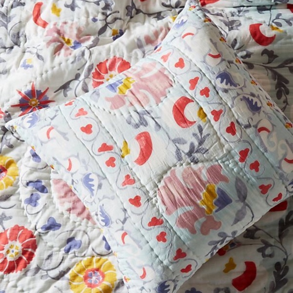 SET OF TWO Anthropologie Viviana Euro Shams